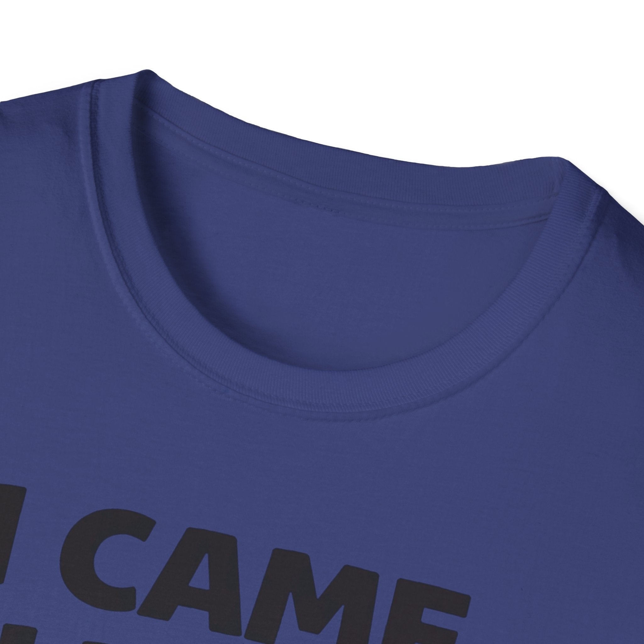 I Came I Lifted I Left T-Shirt